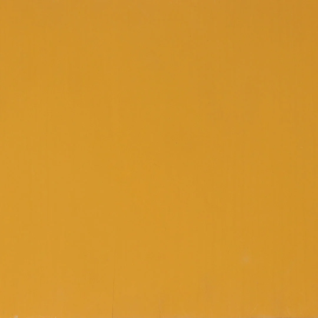 Sunflower Paint - Image 3